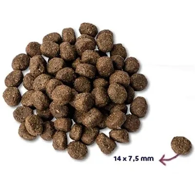 Renske Super Premium Senior Kalkoen Graanvrij - 12 kg - Image 2