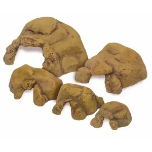 Reptielen Grot