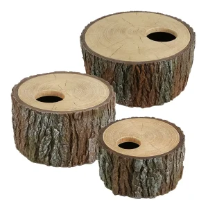 Reptielen Schuilplaats Boom