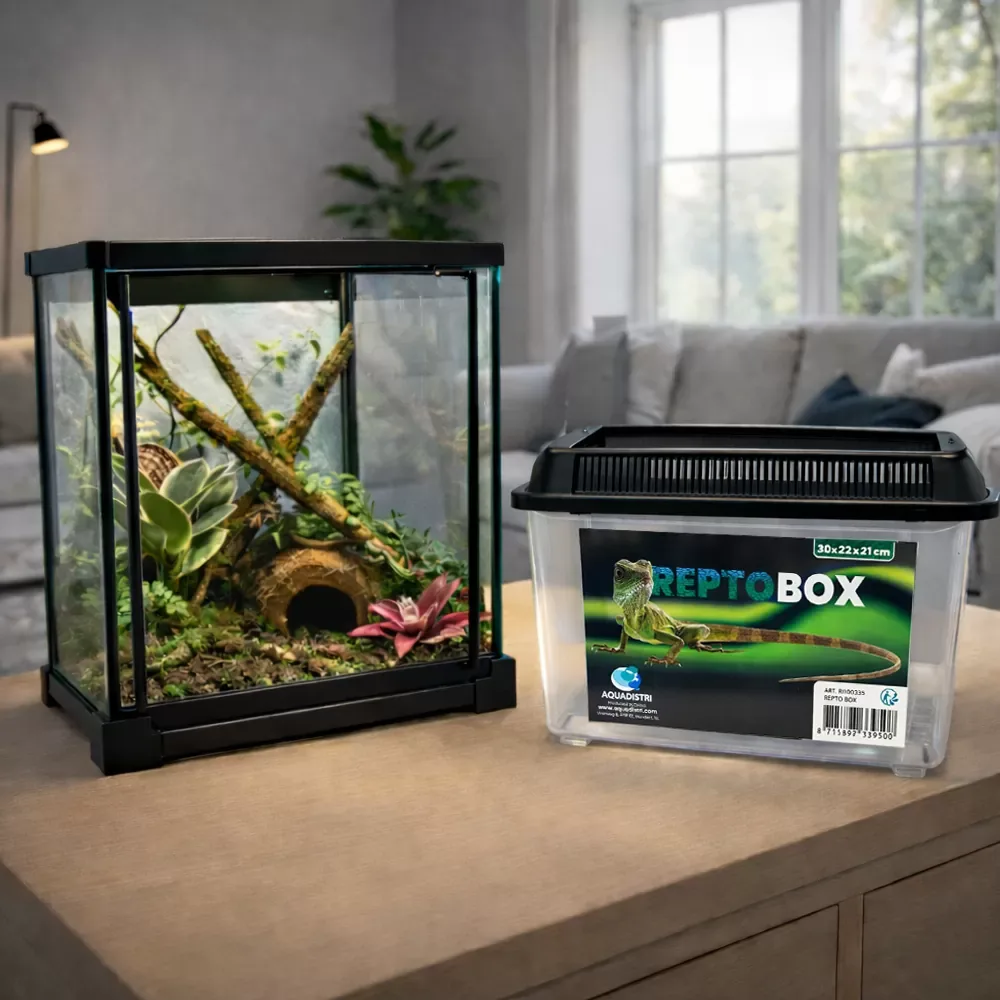 Repto Box - Image 2