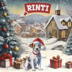 RINTI Chicko Adventskalender