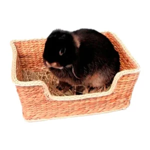 Rosewood Chill 'n' Snooze Bed