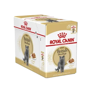 Royal Canin British Shorthair Adult 12×85 gr