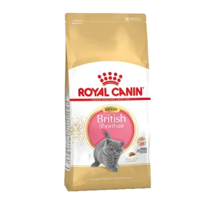 Royal Canin British Shorthair Kitten 2 kg