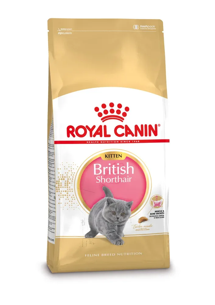 Royal Canin Britse Korthaar Kitten - Kattenvoer - 10 Kilogram - Gevogelte