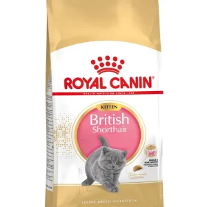 Royal Canin Britse Korthaar Kitten - Kattenvoer - 2 Kilogram - Gevogelte