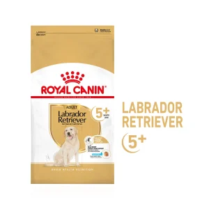 Royal Canin Labrador Retriever 5+