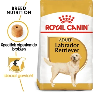 Royal Canin Labrador Retriever Adult
