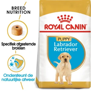 Royal Canin Labrador Retriever Puppy