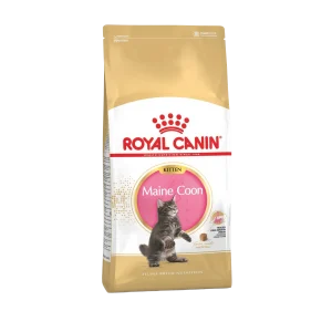Royal Canin Maine Coon Kitten 2 kg