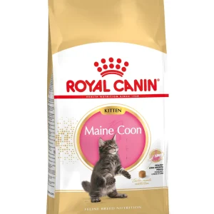Royal Canin Maine Coon Kitten - Kattenvoer - 10 Kilogram - Gevogelte