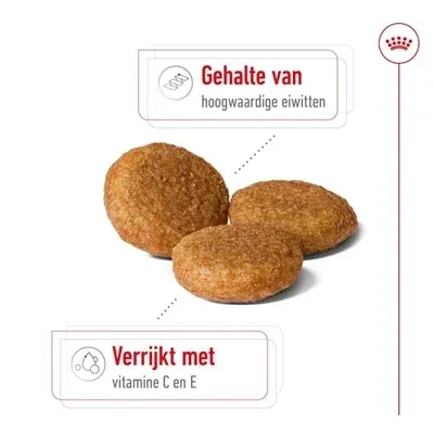 Royal Canin Medium Adult - 4 kg - Image 2
