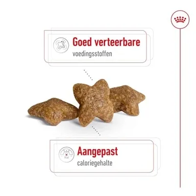 Royal Canin Mini Adult - 8 kg - Image 2