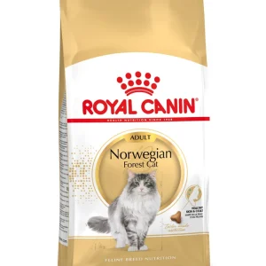 Royal Canin Noorse Boskat Adult - Kattenvoer - 0.4 Kilogram - Gevogelte