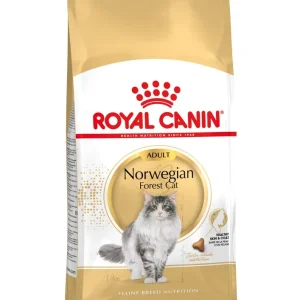 Royal Canin Noorse Boskat Adult - Kattenvoer - 2 Kilogram - Gevogelte