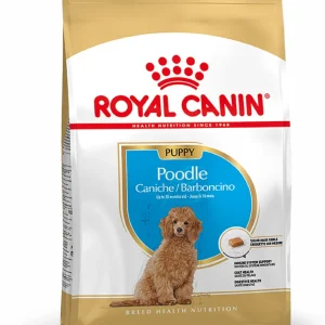 Royal Canin Poedel Junior - Hondenvoer - 3 Kilogram - gevogelte