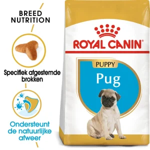 Royal Canin Pug Puppy