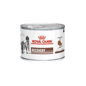 Royal Canin Recovery bestellen | Ter bevordering van herstel na ziekte of operatie