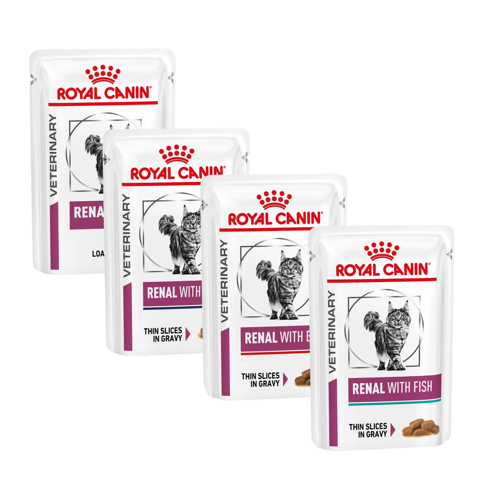 Royal Canin Renal Feline | Voor katten met nieraandoeningen