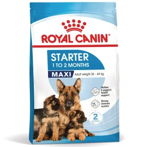 Royal Canin SHN Maxi Starter Mother & Babydog - Hondenvoer - 4 Kilogram - gevogelte