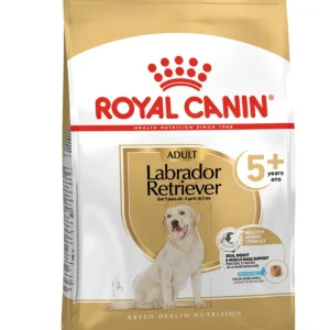 ROYAL CANIN庐 Adult 5+ Labrador Retriever - Hondenvoer - 3 Kilogram - gevogelte