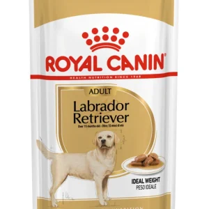 ROYAL CANIN庐 Adult Labrador Retriever Natvoer 10x 140gr - Hondenvoer - 1400 Gram - gevogelte