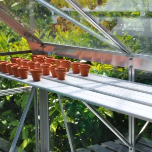 Royal Well Alu Sower - Kweekschap - L