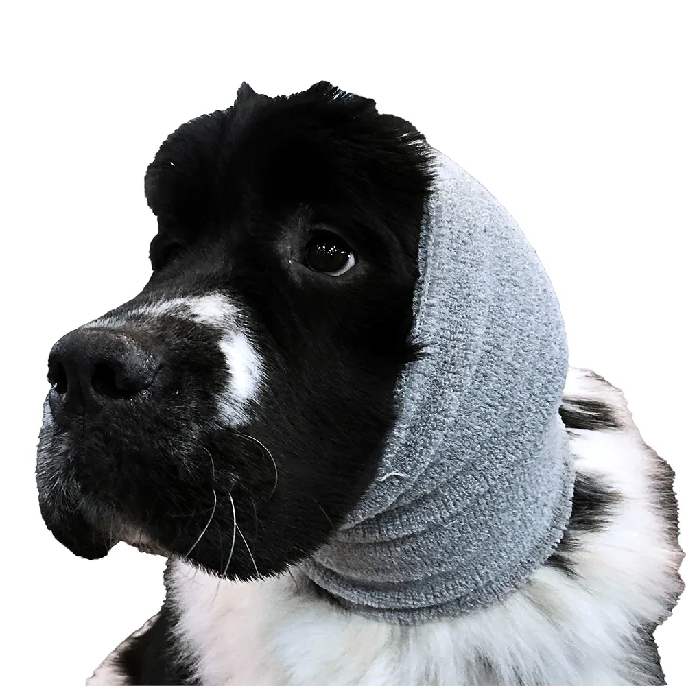 Show Tech - Ear Buddy - Oorbescherming - Grijs - XL - Image 2