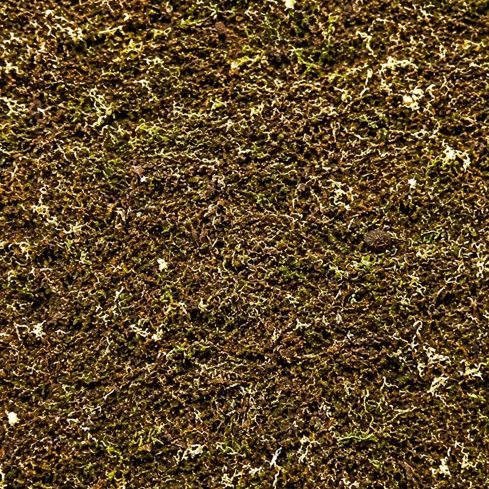 ShroomRoom MossMix - Image 2