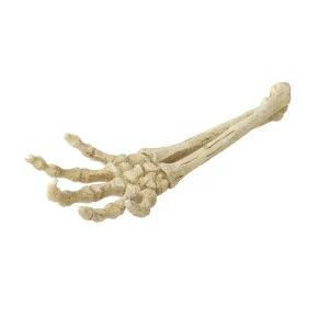 Skelet Hand 26,8×9,4×4,5CM