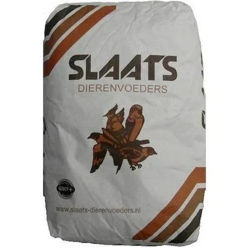 Slaats Agapornis Champ Rudi Bleyen