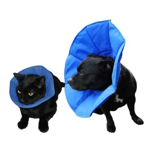 SoftE collar