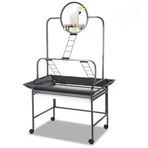 Speelstandaard Daylite Parrot