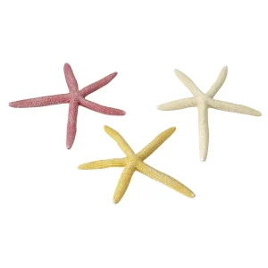 Starfish Mix L – 18,5CM