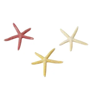 Starfish Mix S – 10CM