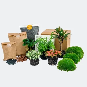 Starterspakket & Navulpakket Jungle 6 srt planten