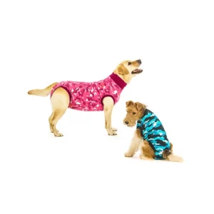 Suitical Recovery Suit Hond