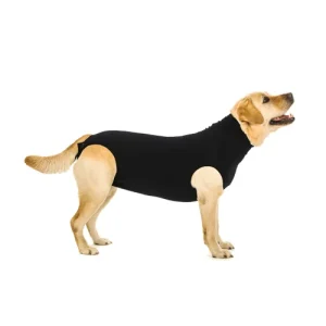 Suitical Recovery Suit Hond
