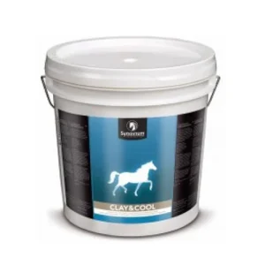 Synovium Clay & Cool