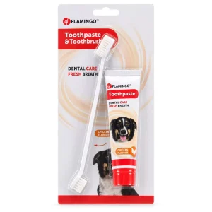 Tandpasta en Tandenborstel voor Honden met Kipsmaak