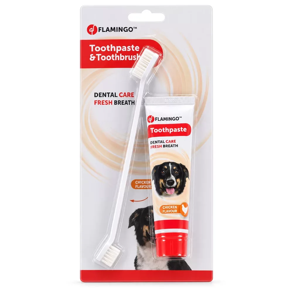 Tandpasta en Tandenborstel voor Honden met Kipsmaak