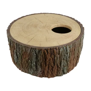 Terra Della Schuilplaats Boom