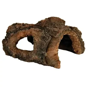 Terrarium Boomstam