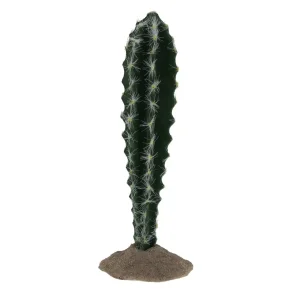Terrarium Cactus Cilinder 1