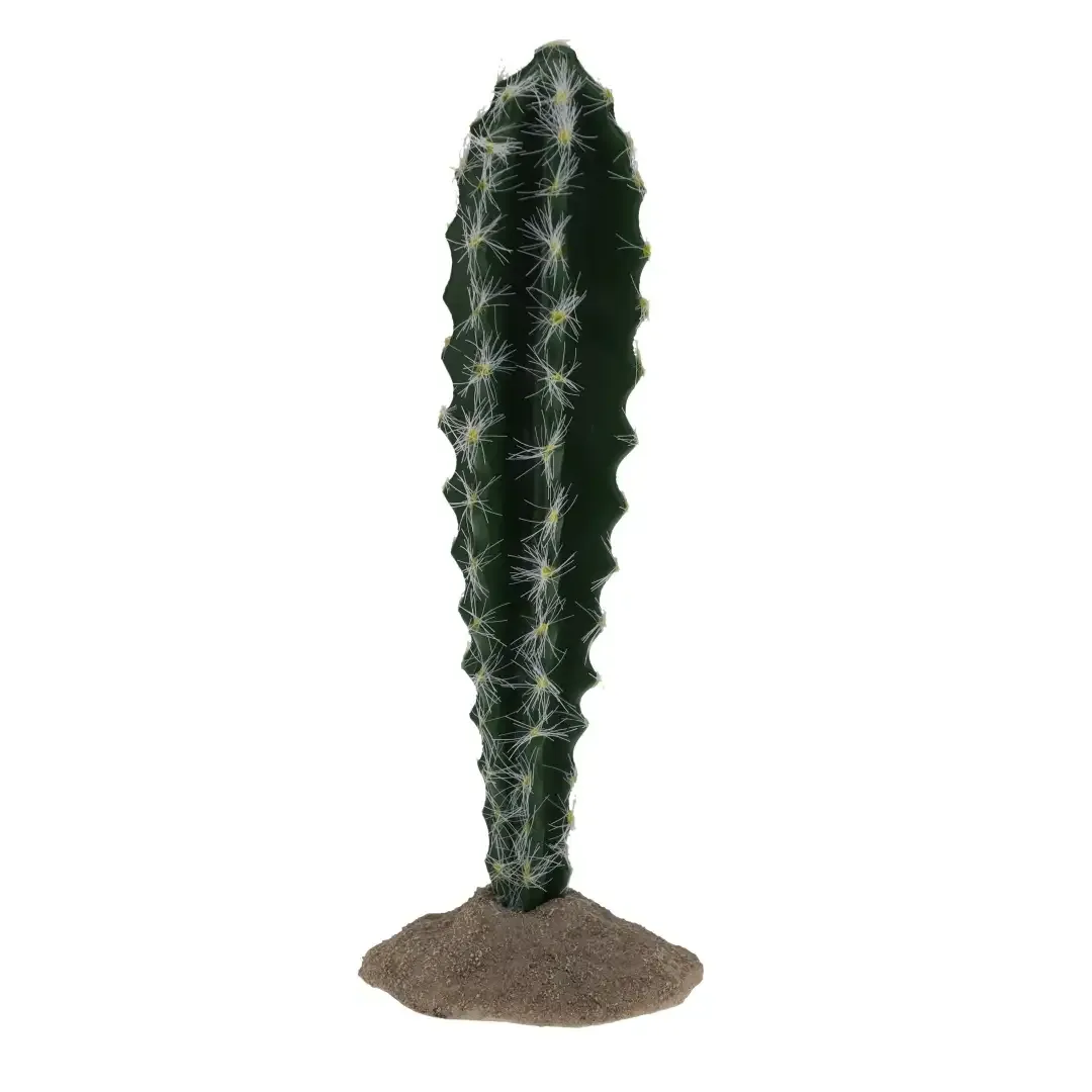 Terrarium Cactus Cilinder 1