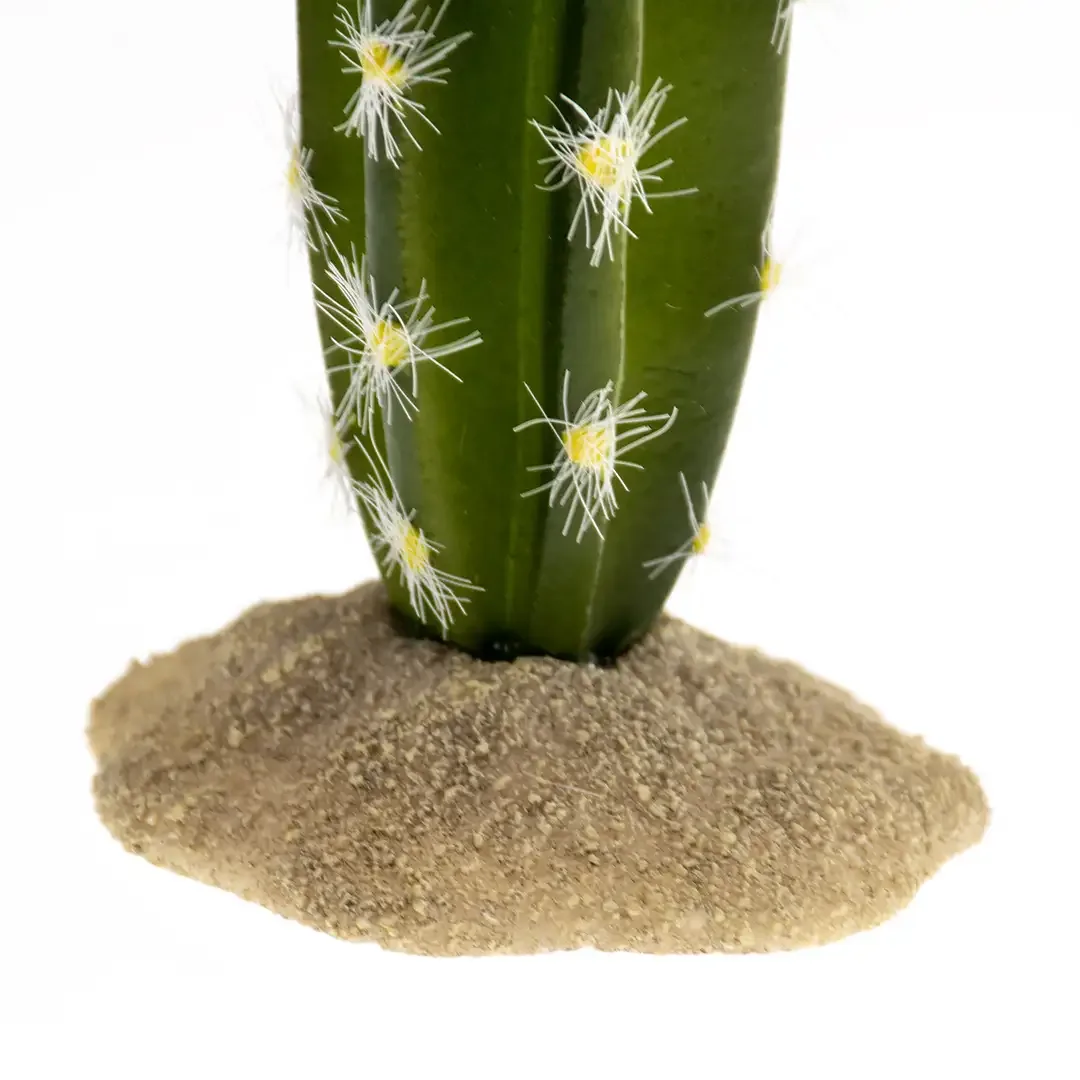 Terrarium Cactus Cilinder 2 - Image 2