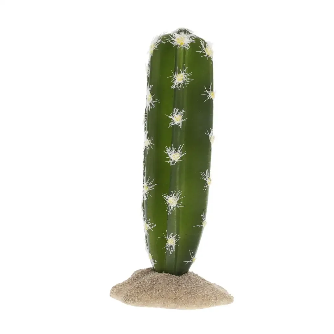 Terrarium Cactus Cilinder 2
