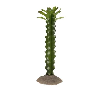 Terrarium Cactus Cilinder 3