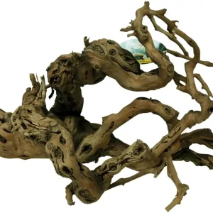 Terrarium Druiventakken Premium XXL