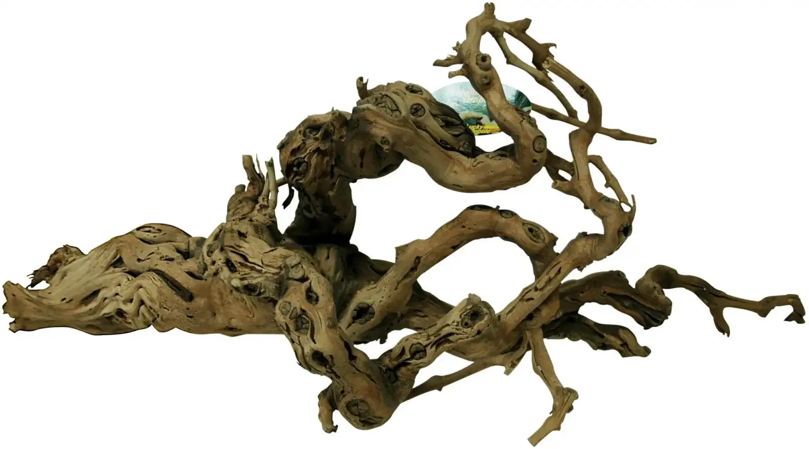 Terrarium Druiventakken Premium XXL